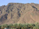 UHUD DAGI
